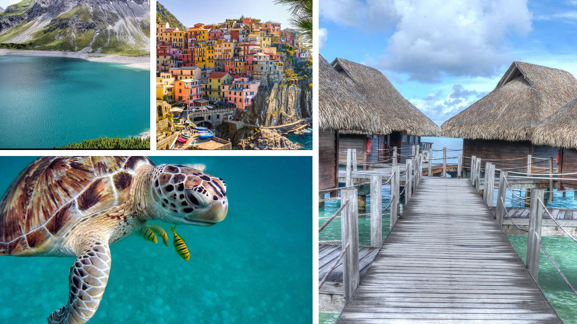 Unlock Massive Savings: Your Guide to DealSeek Promo Codes